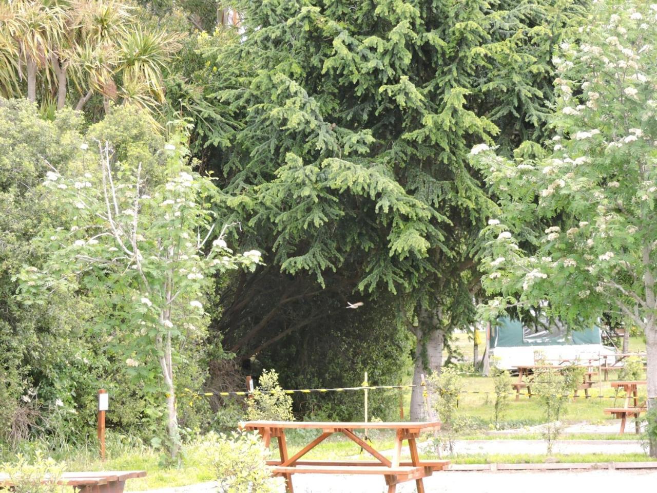 219 On Johns Motel & Holiday Park ไครสต์เชิร์ช ภายนอก รูปภาพ